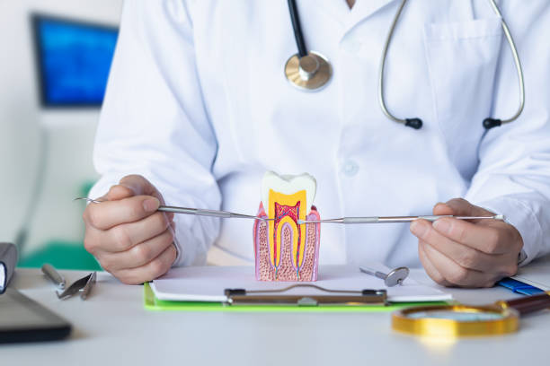 Best Weekend Emergency Dentist in Collinsburg, PA